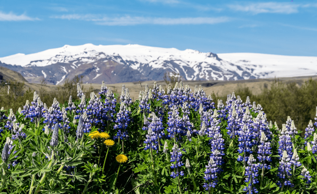 Islandské podnebie a počasie
